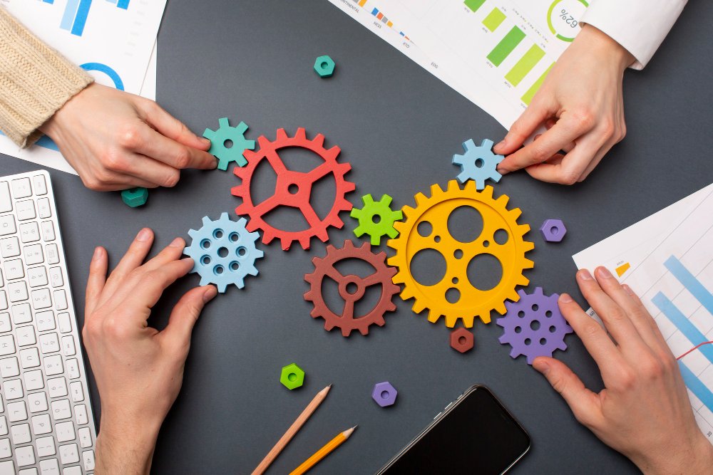 Implementation & Partnership Development